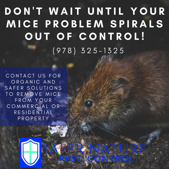 Safer Nature Pest Control - Amesbury, MA