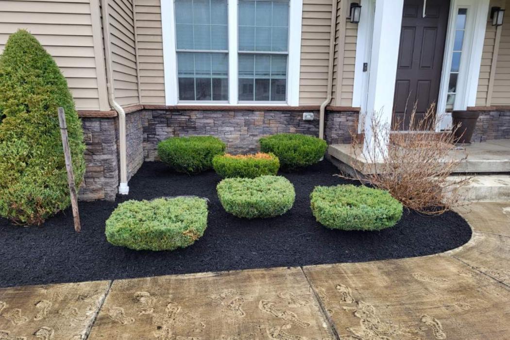 JJs Home Improvement - Buffalo, NY