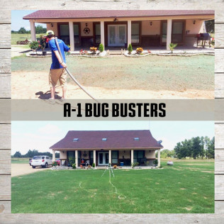 A-1 Bug Busters LLC - Paris, TX - (903)715-6620 | ShowMeLocal.com