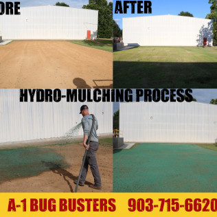 A-1 Bug Busters LLC Paris (903)715-6620