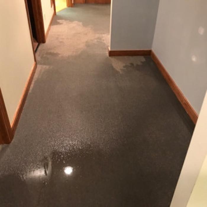 All Seasons Carpet Cleaning & Property Maintenance - Hilliard, OH