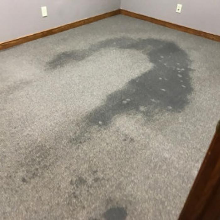 All Seasons Carpet Cleaning & Property Maintenance - Hilliard, OH