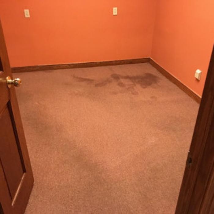 All Seasons Carpet Cleaning & Property Maintenance - Hilliard, OH