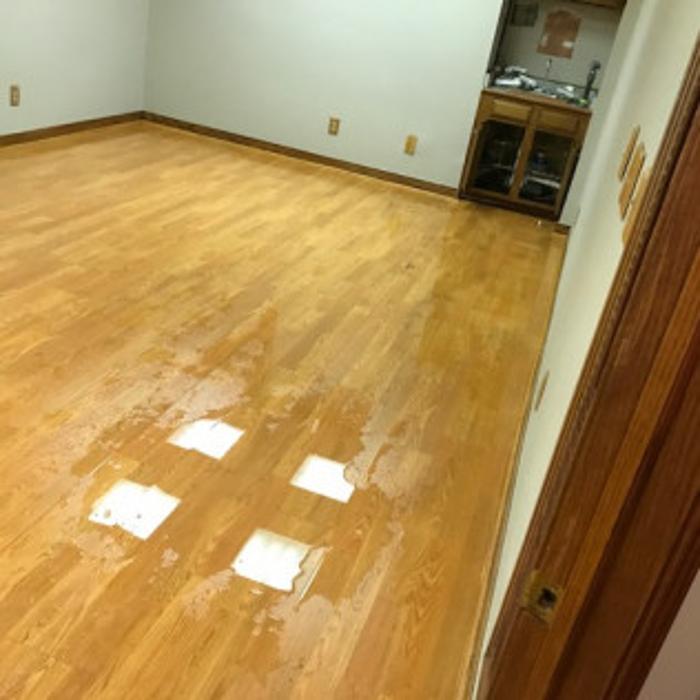 All Seasons Carpet Cleaning & Property Maintenance - Hilliard, OH
