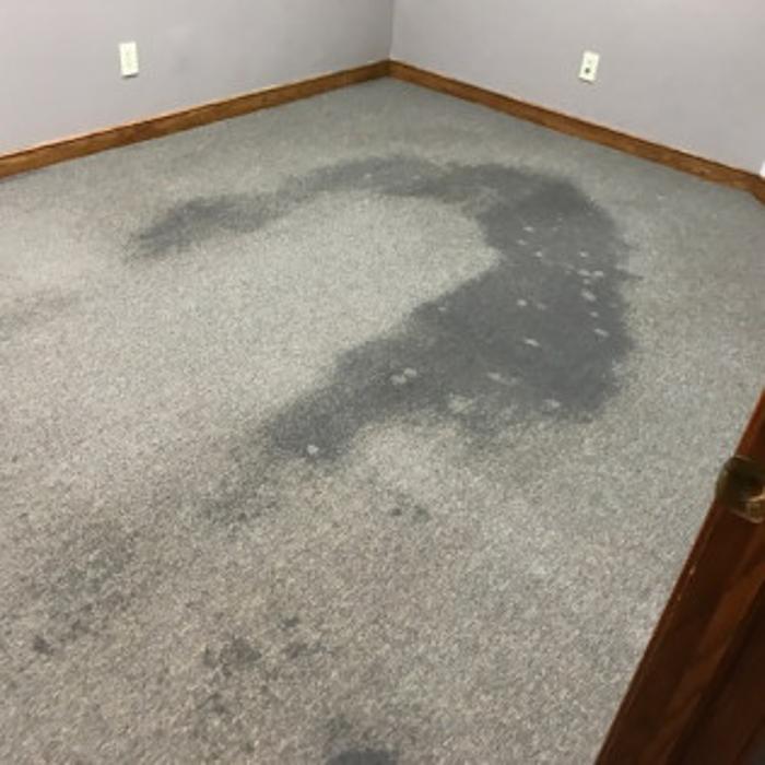 All Seasons Carpet Cleaning & Property Maintenance - Hilliard, OH