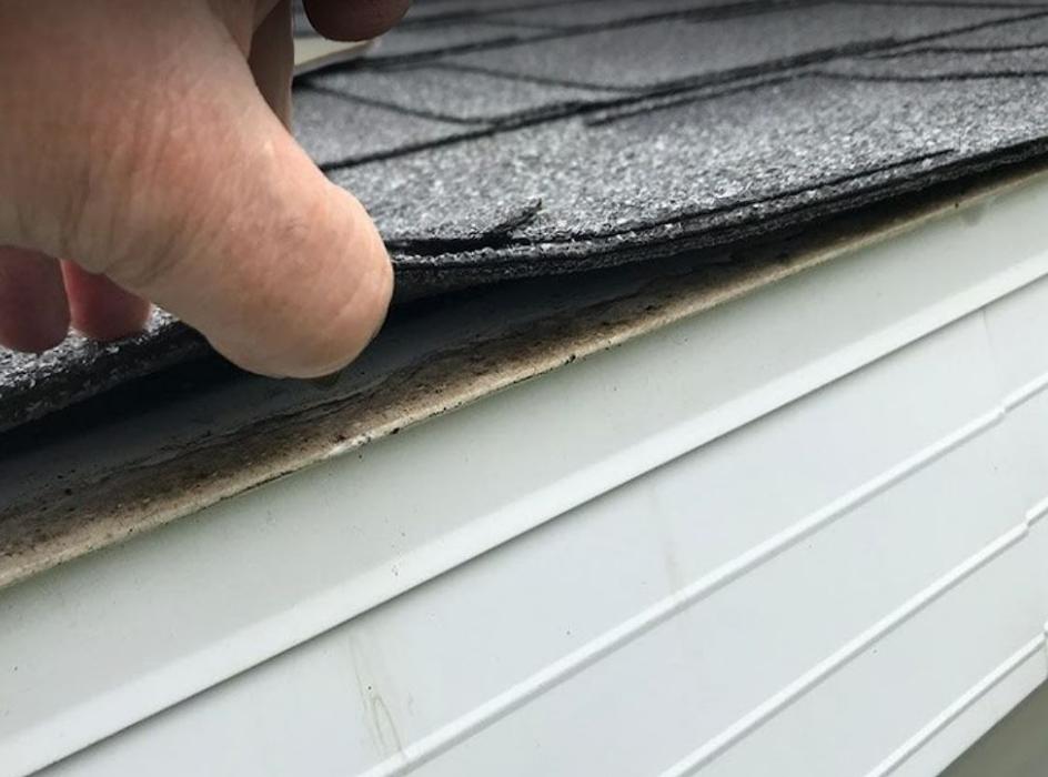 LMS Elite Remodeling - Grandville, MI