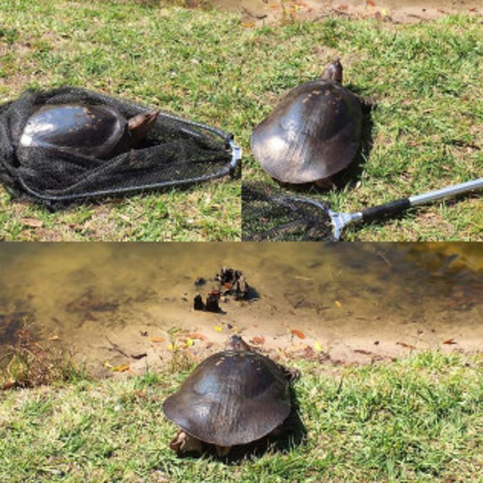 Total Animal Control - Dickson, TN