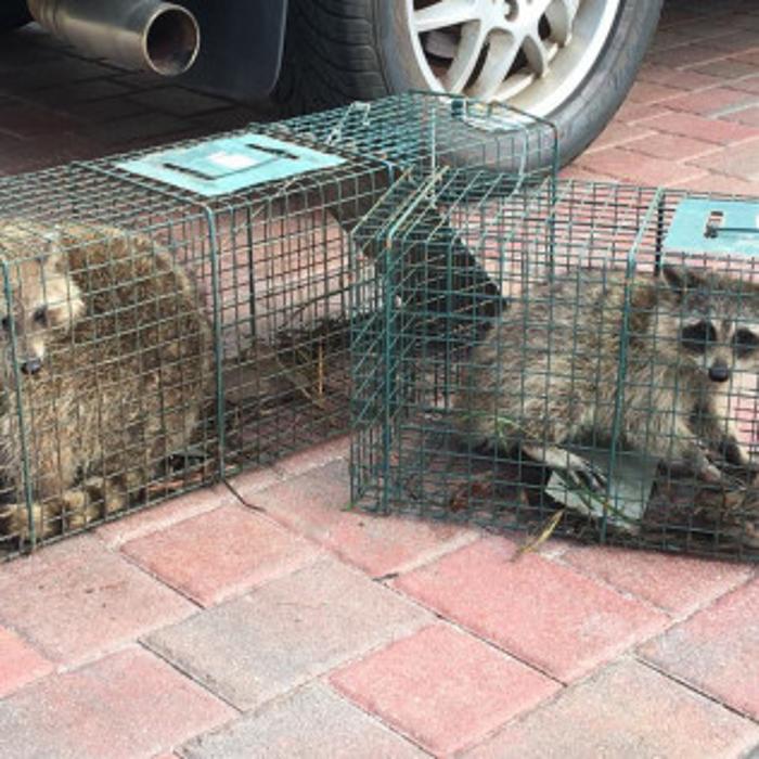 Total Animal Control - Dickson, TN