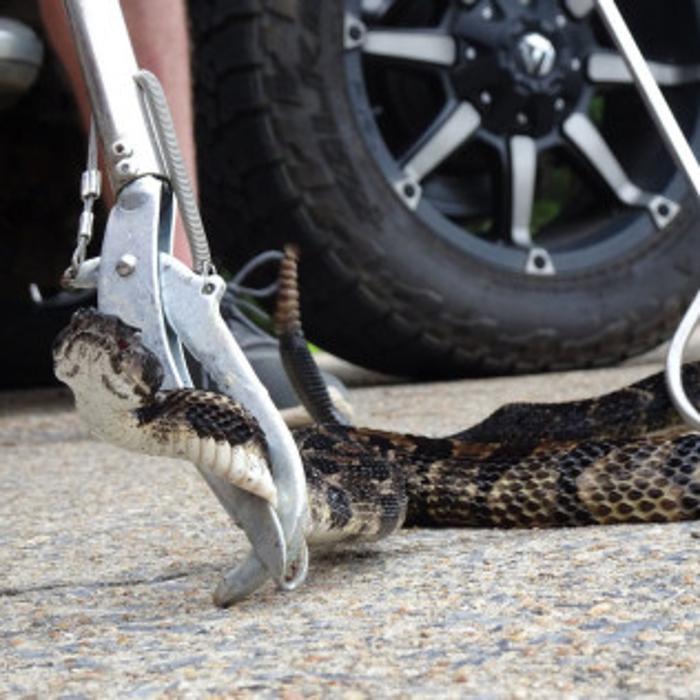 Total Animal Control - Dickson, TN