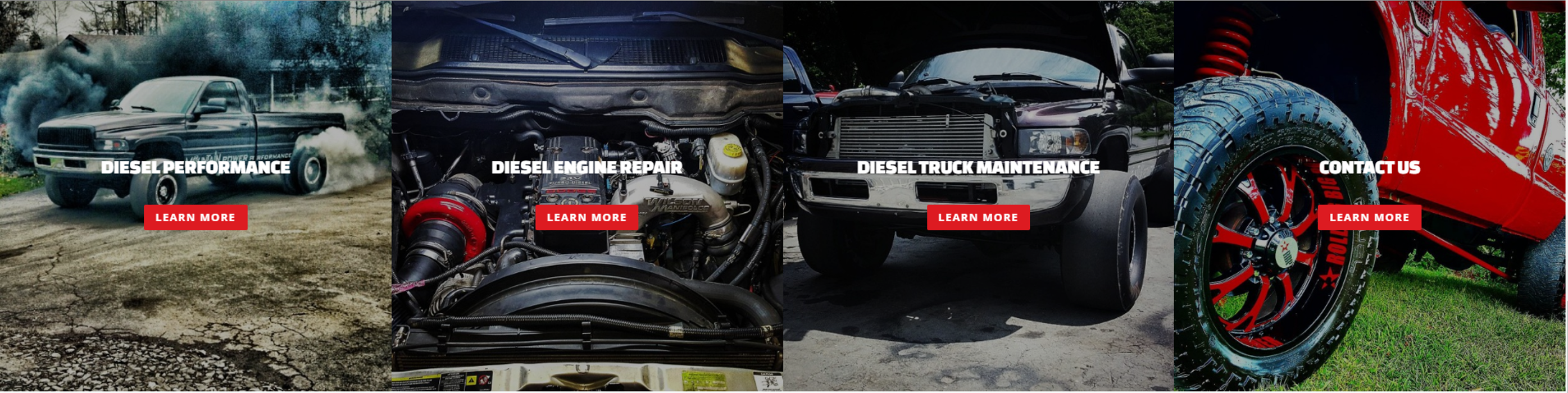 Tameless Performance, LLC - Asheville, NC