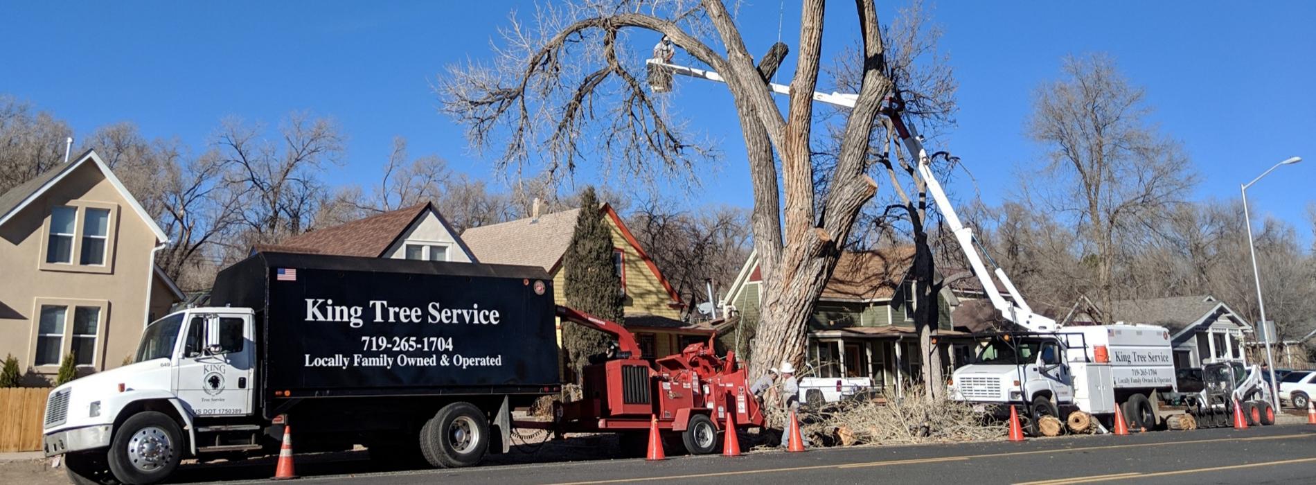 King Tree Service - Colorado Springs, CO
