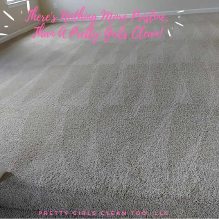 Pretty Girls Clean Too, LLC - Grayson, GA