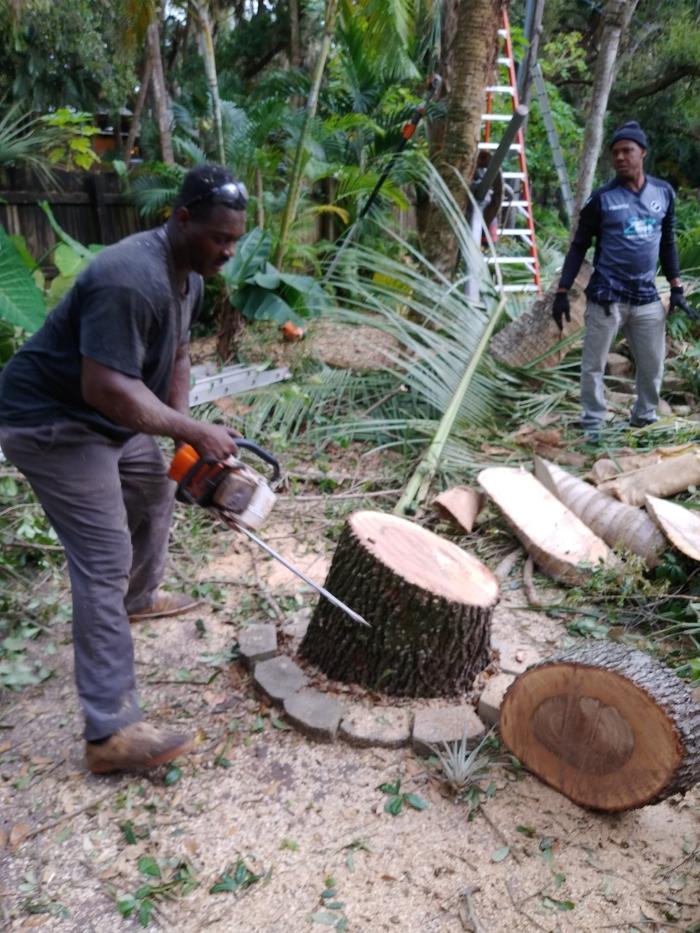 Caribbean Tree Service, Inc. - Fort Lauderdale, FL