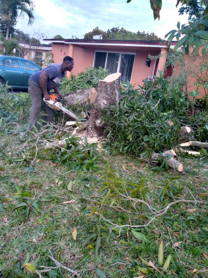 Caribbean Tree Service, Inc. - Fort Lauderdale, FL