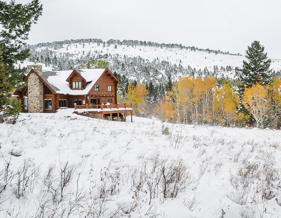 BTI Log Home Care - Bozeman, MT