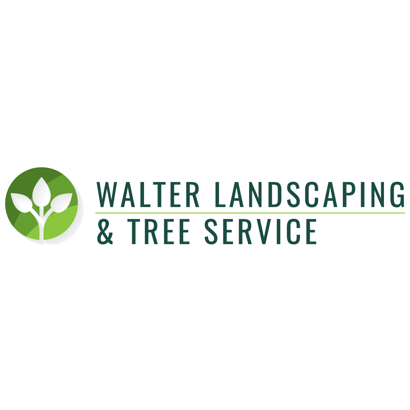 Walter Landscaping & Tree Service Patterson (845)490-0825