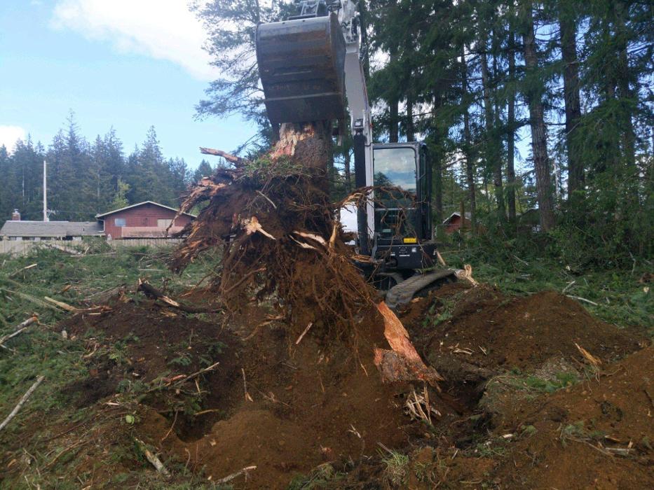 D&T Excavating, LLP - Shelton, WA