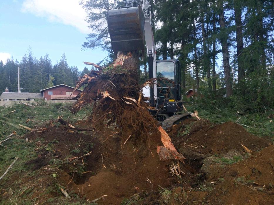 D&T Excavating, LLP - Shelton, WA