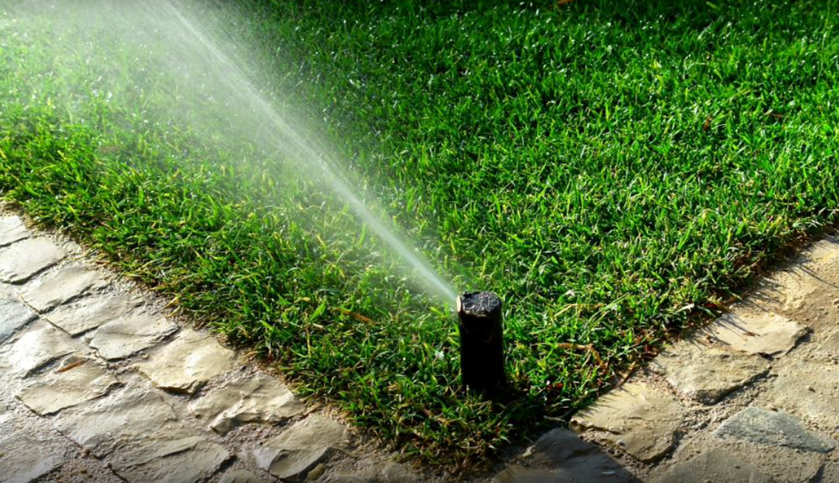 Meticulous Landscaping, Inc. - Waretown, NJ