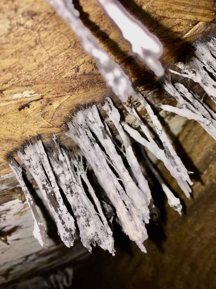 Fortis Foundation Solutions - Birmingham, AL