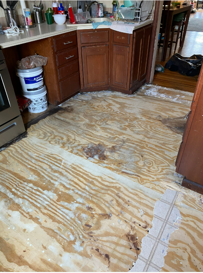 Platinum Blue Builders LLC - Langhorne, PA