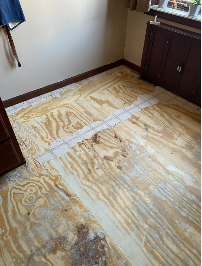 Platinum Blue Builders LLC - Langhorne, PA