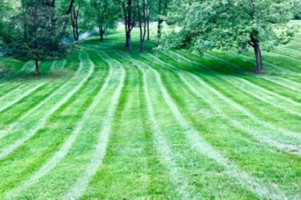 Master Gardner, LLC - Ada, MI