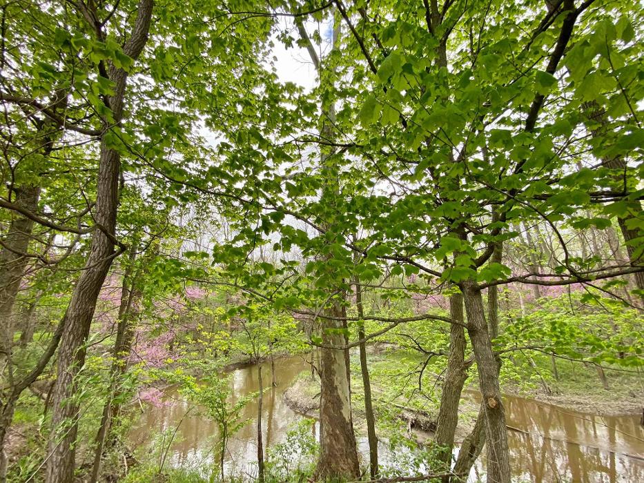 Master Gardner, LLC - Ada, MI