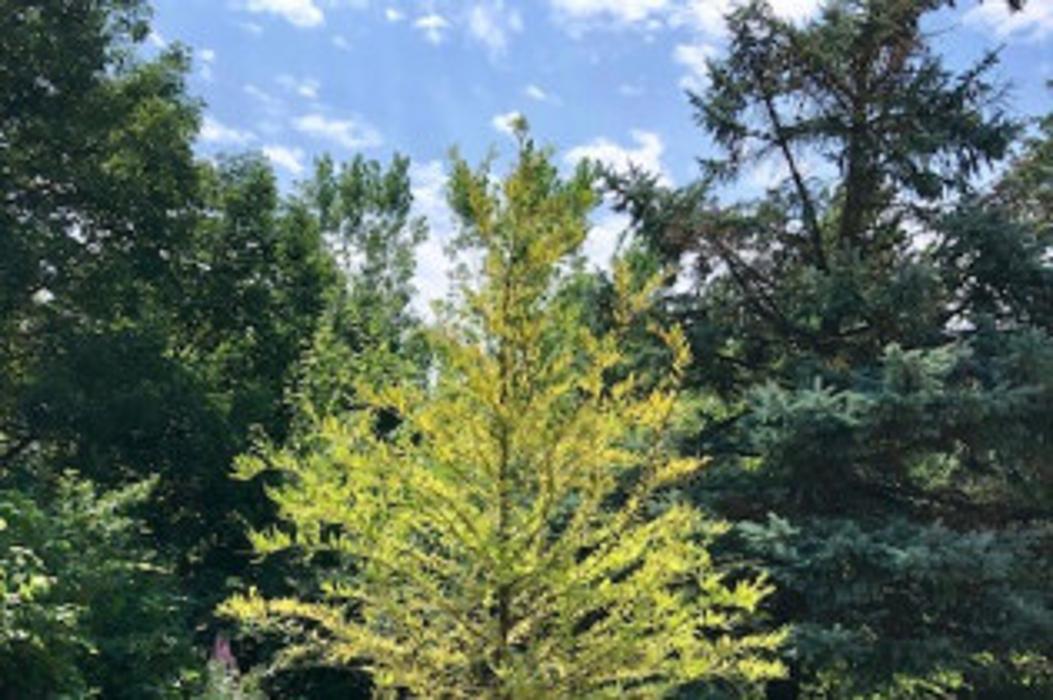 Master Gardner, LLC - Ada, MI