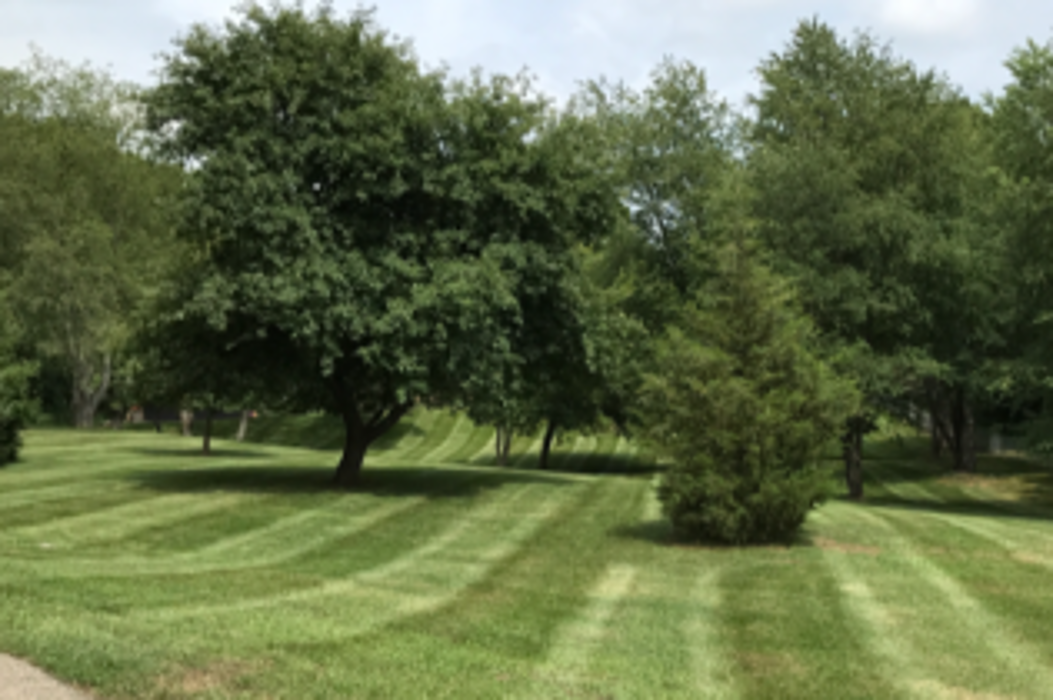 Master Gardner, LLC - Ada, MI