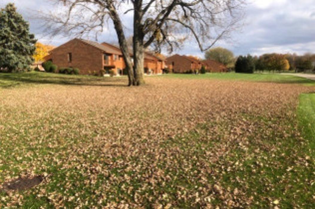 Master Gardner, LLC - Ada, MI