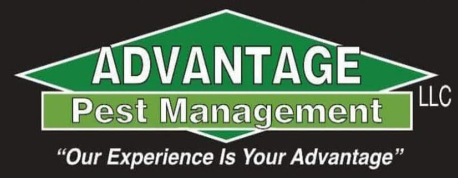 Advantage Pest Management, LLC - Owensboro, KY - (270)993-6006 | ShowMeLocal.com