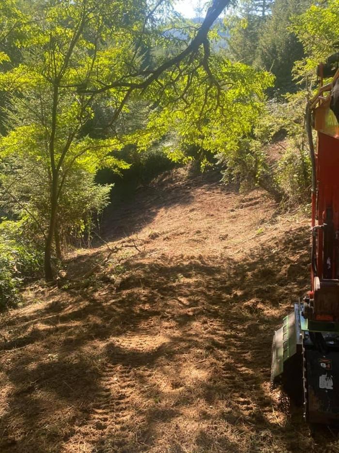 Woods Excavation, LLC - Winston, OR