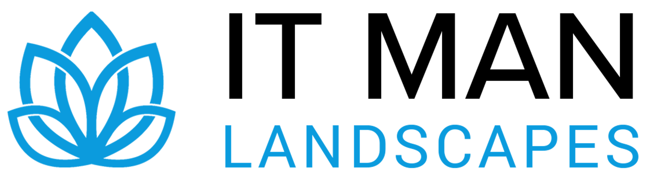 IT Man Landscapes - Wilmington, NC