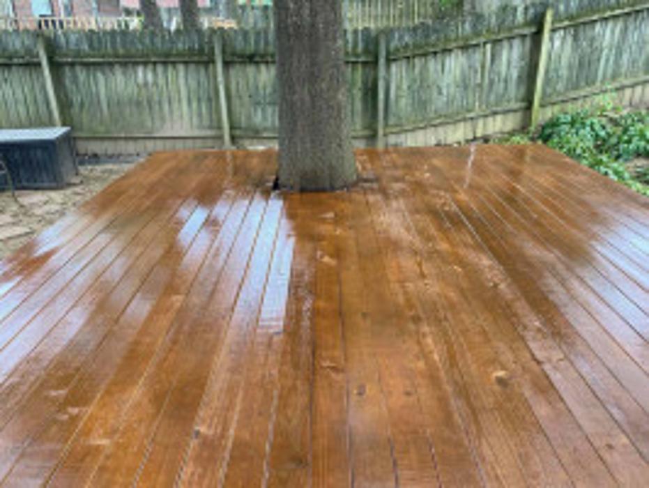 Above & Beyond Protection, LLC - Beech Bluff, TN