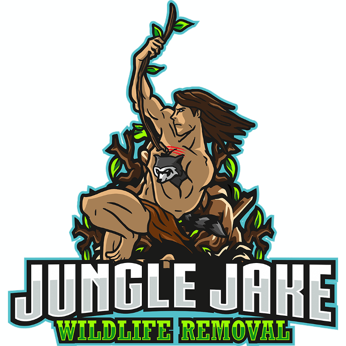 Jungle Jake Wildlife Removal - Deland, FL