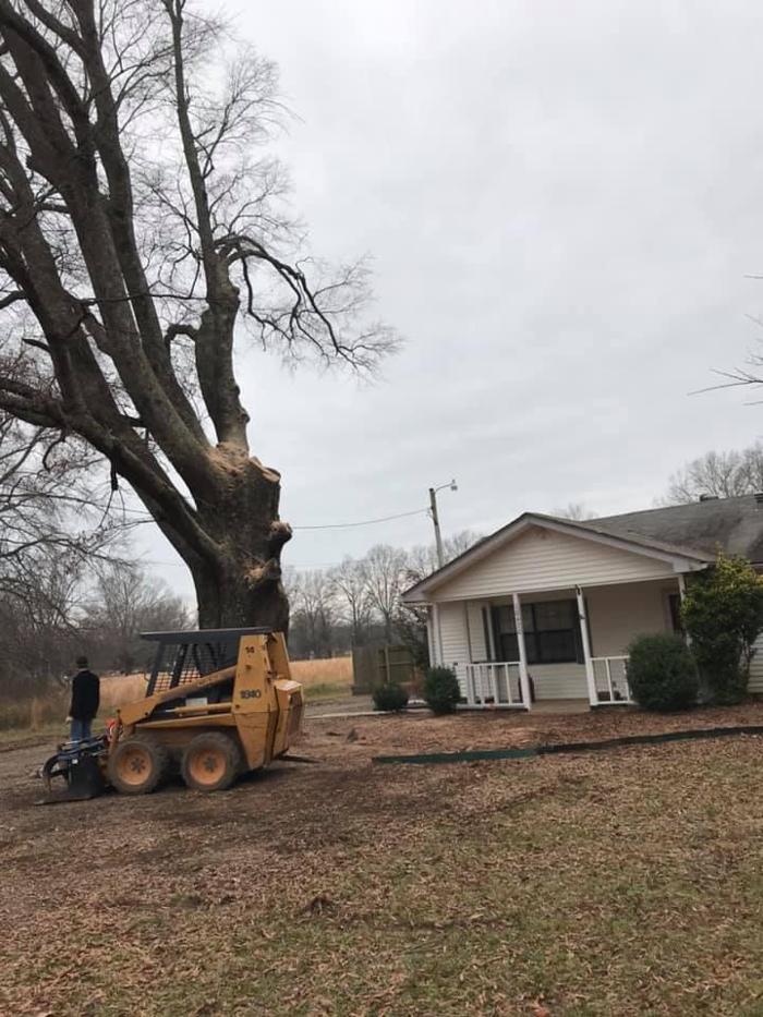 ArborTech Tree Care LLC - Austin, AR