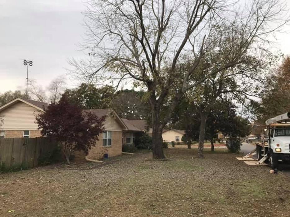 ArborTech Tree Care LLC - Austin, AR