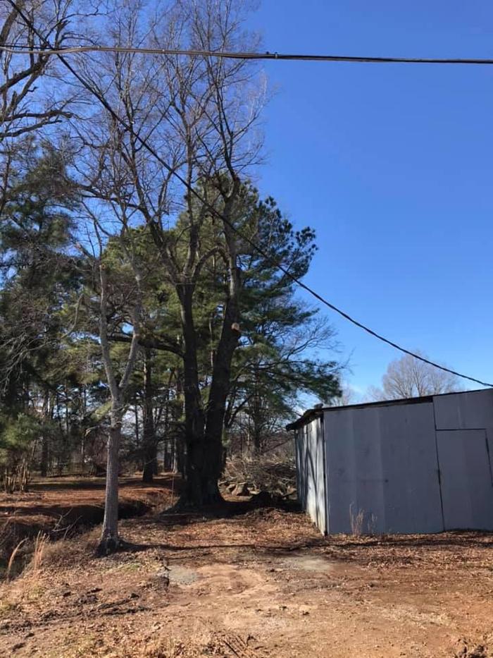 ArborTech Tree Care LLC - Austin, AR