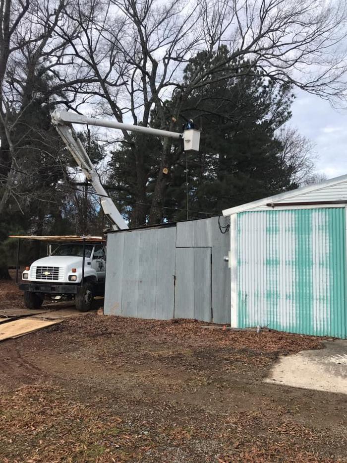ArborTech Tree Care LLC - Austin, AR