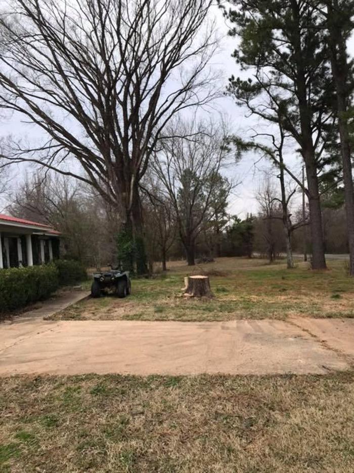 ArborTech Tree Care LLC - Austin, AR