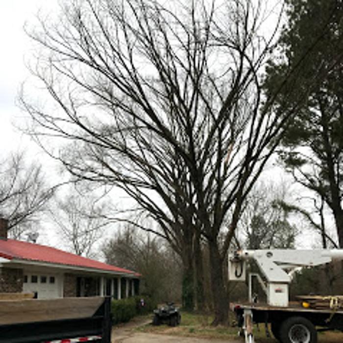 ArborTech Tree Care LLC - Austin, AR