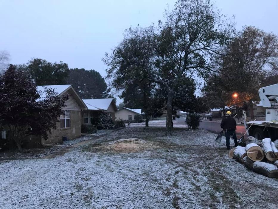 ArborTech Tree Care LLC - Austin, AR