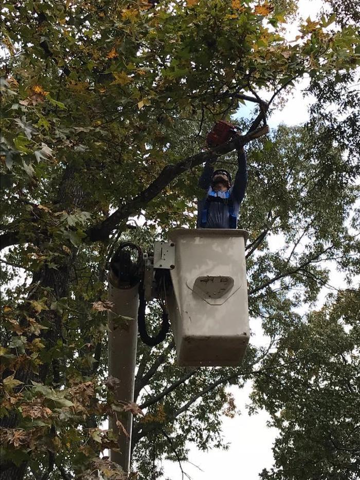 ArborTech Tree Care LLC - Austin, AR