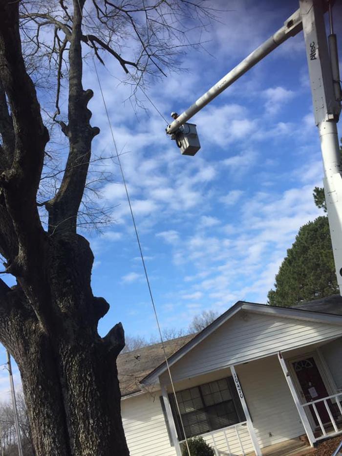 ArborTech Tree Care LLC - Austin, AR