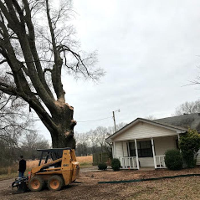 ArborTech Tree Care LLC - Austin, AR