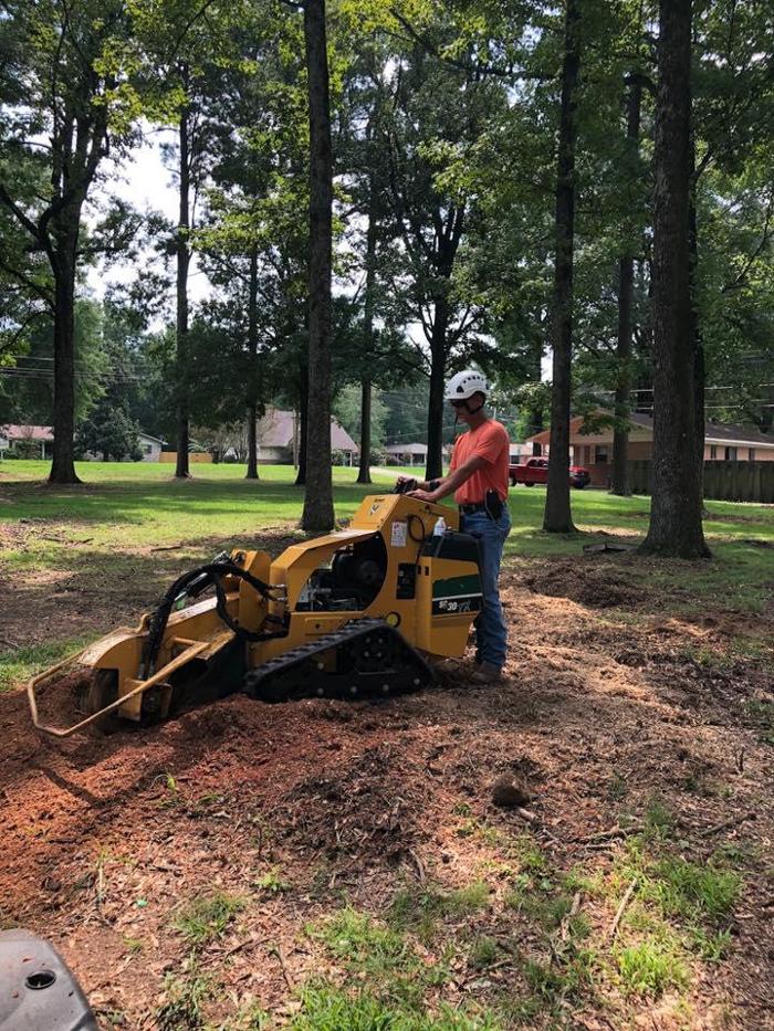 ArborTech Tree Care LLC - Austin, AR