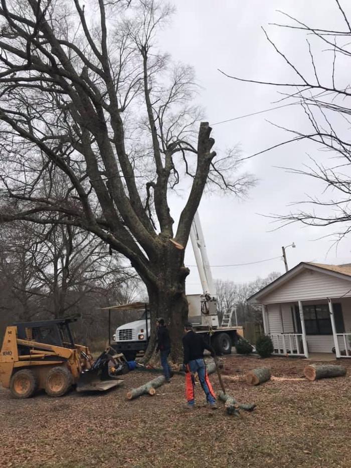 ArborTech Tree Care LLC - Austin, AR