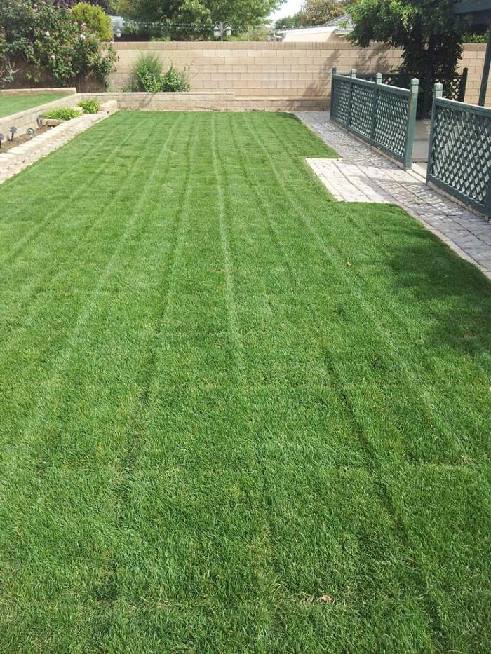 Sun Up Till Sun Down Landscaping - Rosamond, CA