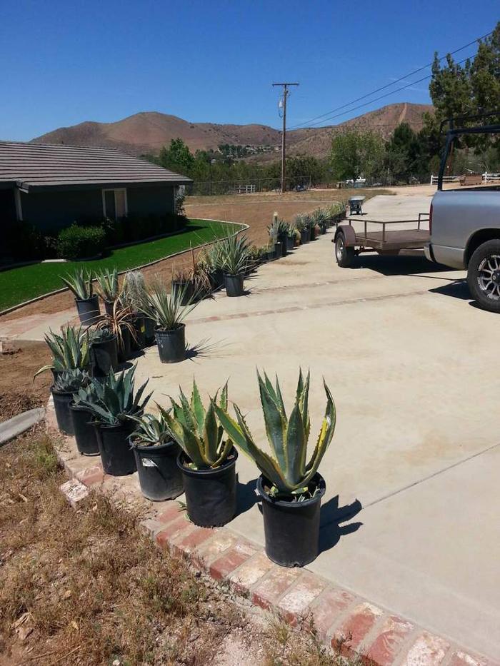 Sun Up Till Sun Down Landscaping - Rosamond, CA